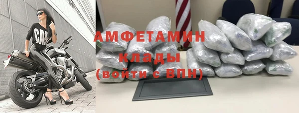 дживик Богородицк