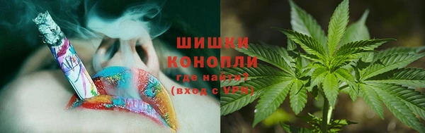 крисы Богданович