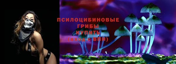 крисы Богданович