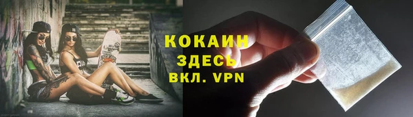 дживик Богородицк