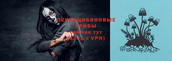 a pvp Богородск