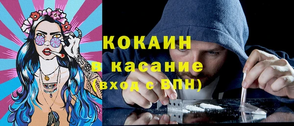 дживик Богородицк