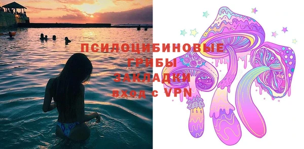 a pvp Богородск