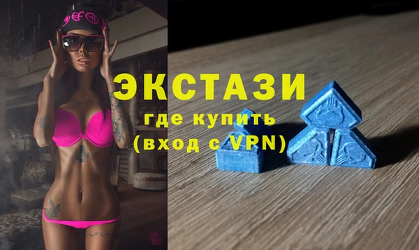 дживик Богородицк