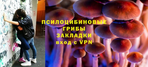 крисы Богданович