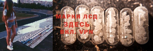 дживик Богородицк