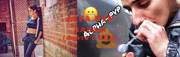 дживик Богородицк