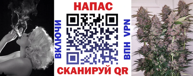 цена наркотик  KRAKEN ССЫЛКА  маркетплейс Telegram  Волжск  Бошки марихуана AK-47 
